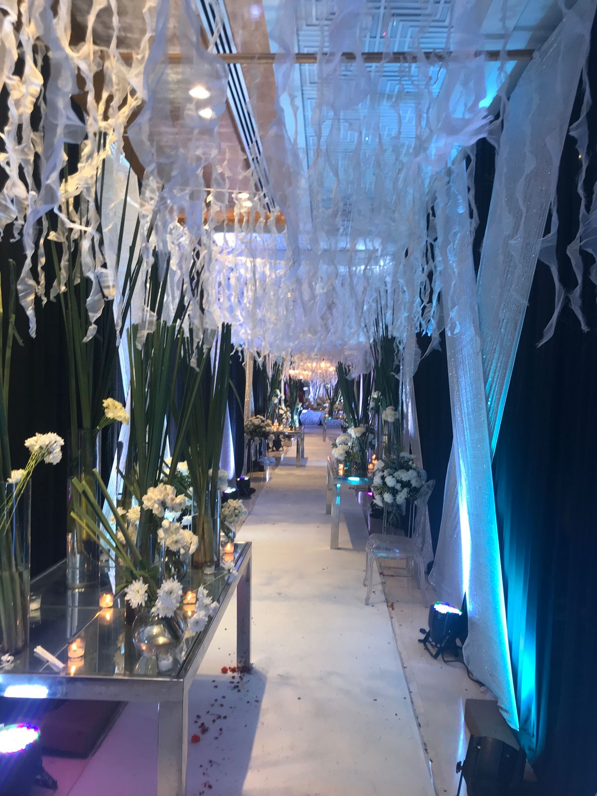 WhatsApp Image 2026 01 03 At 4.31.45 PM